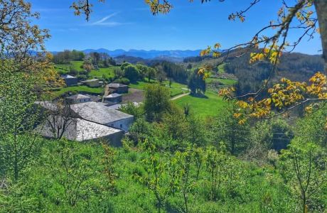 Primavera en el río Donsal.