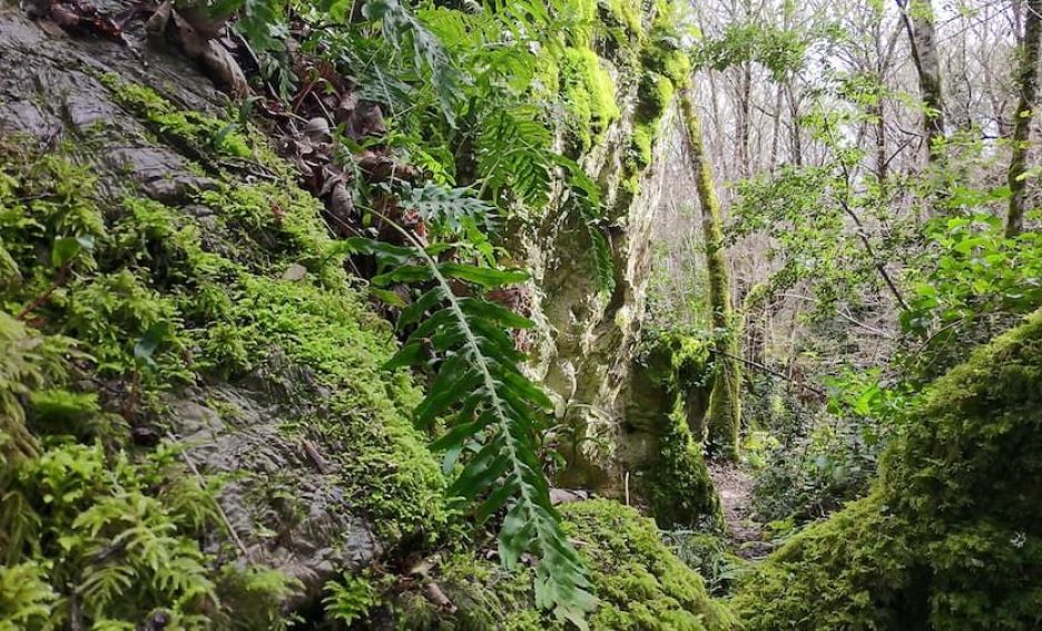 Grobos: El Karst y su Biodiversidad
