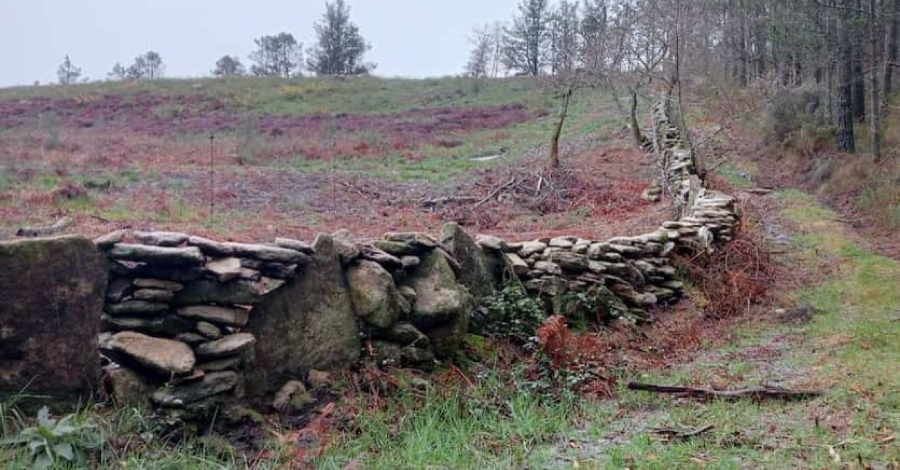 Largo, largo y en pendiente