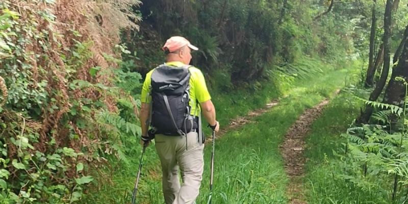 Explorando la Belleza de la Ribeira Sacra