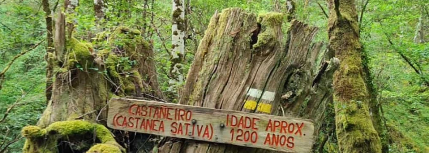 Un Camino por el Río Donsal en la Reserva de la Biosfera de Ancares