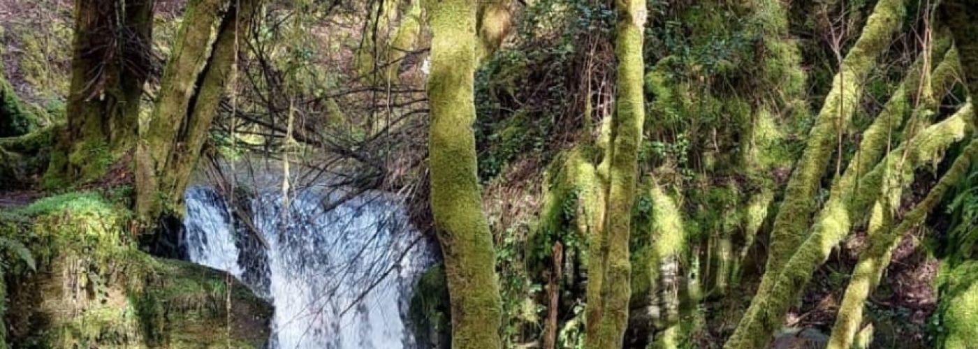 Un Paseo Primaveral en Becerreá desde Quintá de Cancelada