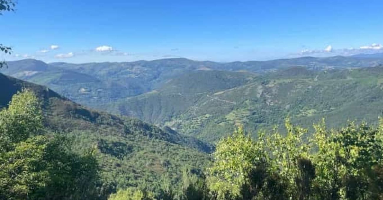 Majestuosa Devesa da Rogueira