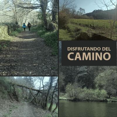 Nordic Walking Lugo . Nuestros Caminos 17