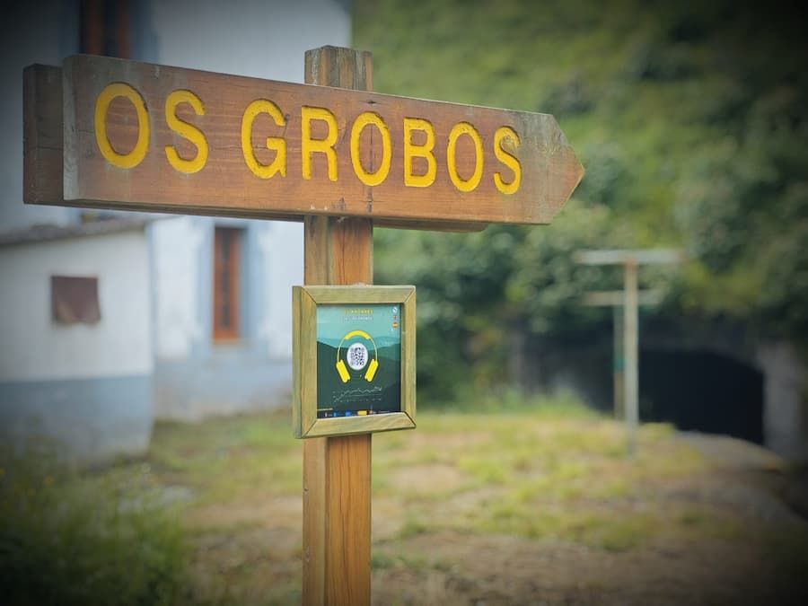 Os Grobos