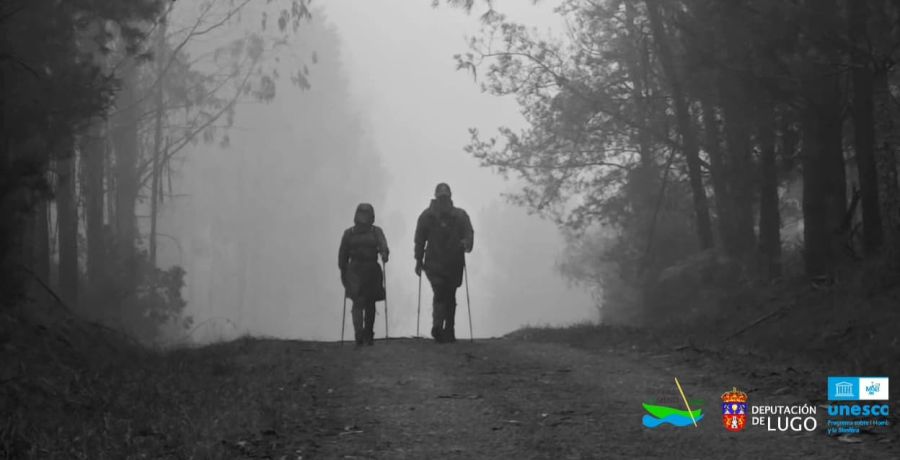 Walkers en la niebla
